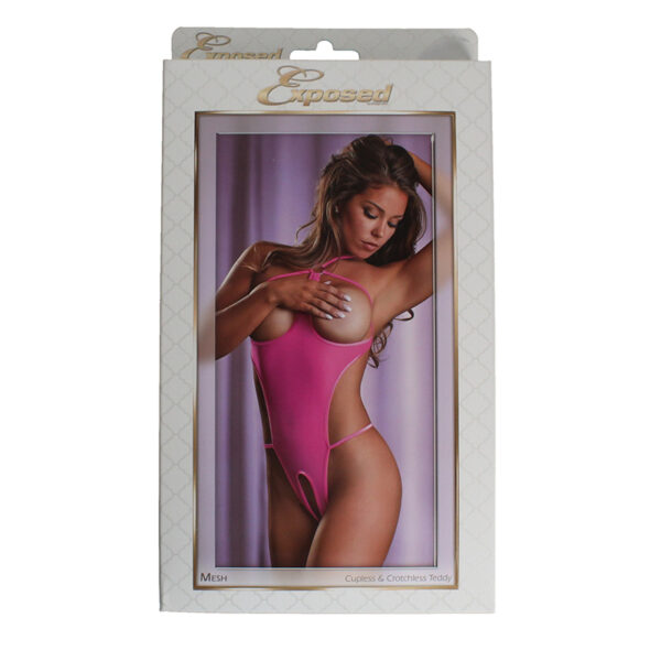 MS Mesh Cupless & Crotchless Teddy PI SM