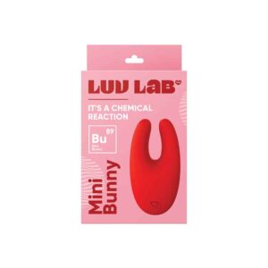 Luv Inc BU89 Mini Bunny Red
