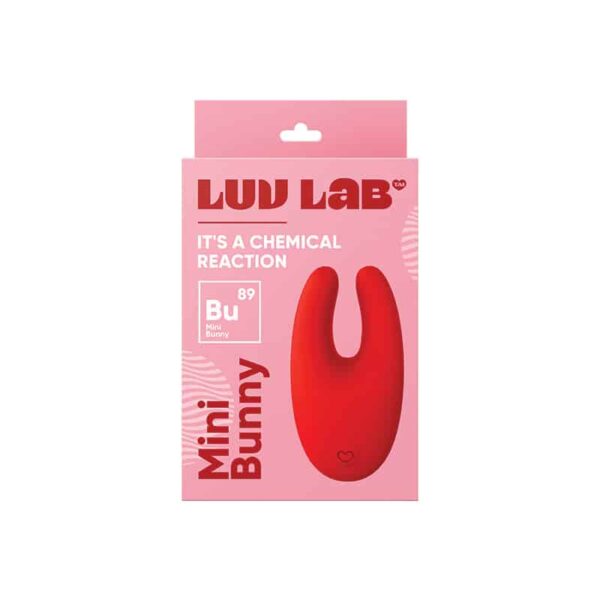 Luv Inc BU89 Mini Bunny Red
