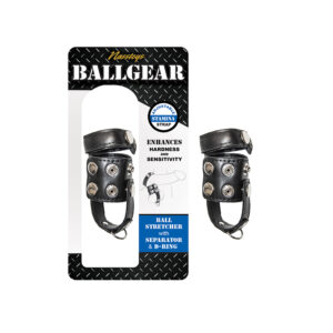 Ballgear Ball Stret W/Separator&DRing Bk