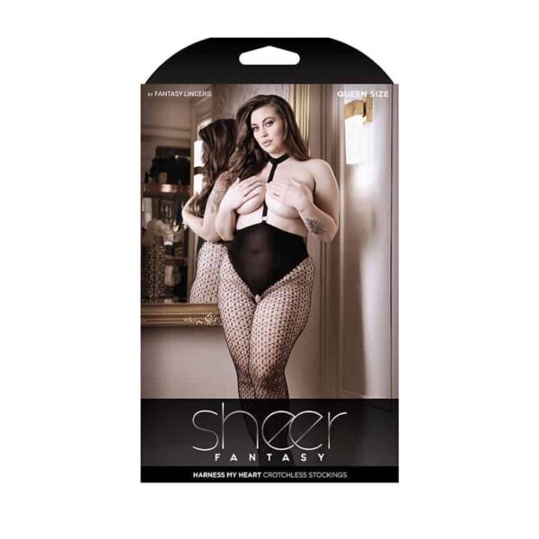 Sheer harness my heart  stockings Qs