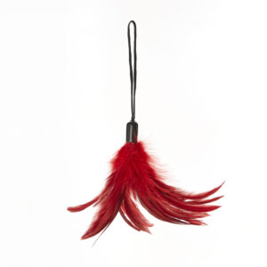 SS Pleasure Feather Tickler Red