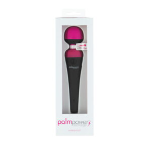 Palm Power Massager Rechargeable WP