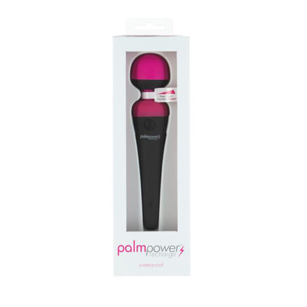 Palm Power Massager Rechargeable WP