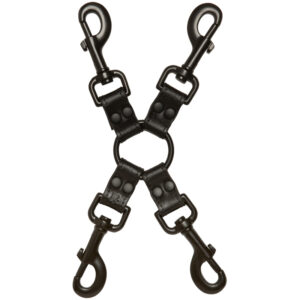 Kink Leather Sub Acc All Access Clips Bk