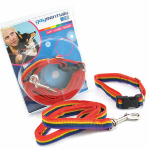 GS Pet Collar/Leash Combo (Medium)